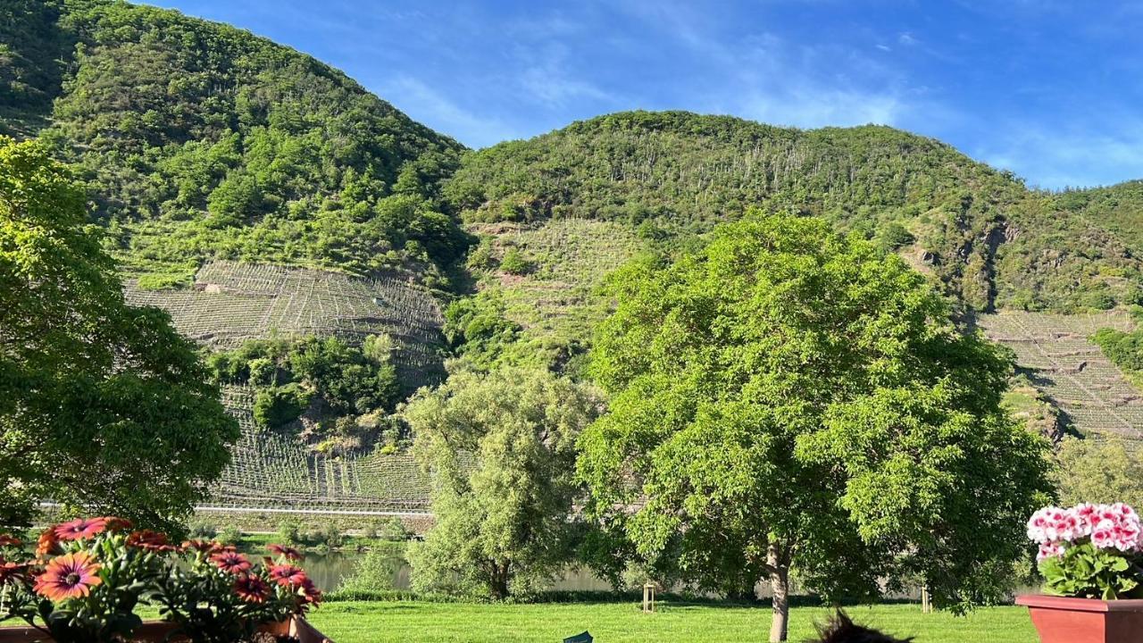 Hotel Zur Winzergenossenschaft エルンスト エクステリア 写真
