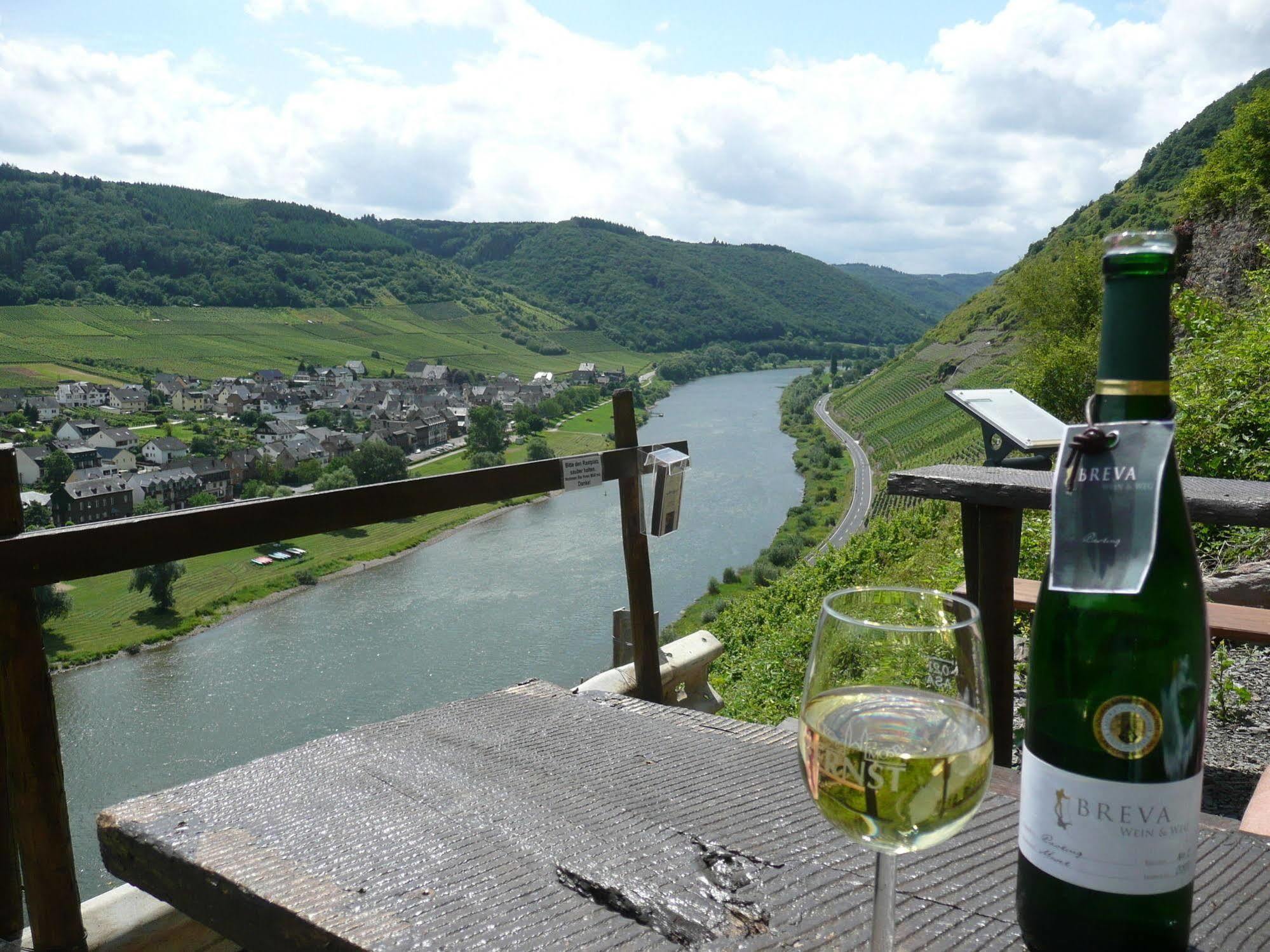 Hotel Zur Winzergenossenschaft エルンスト エクステリア 写真
